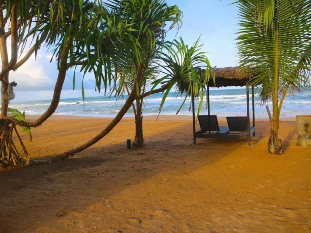 Whispering Palms Hotel Bentota Zewnętrze zdjęcie